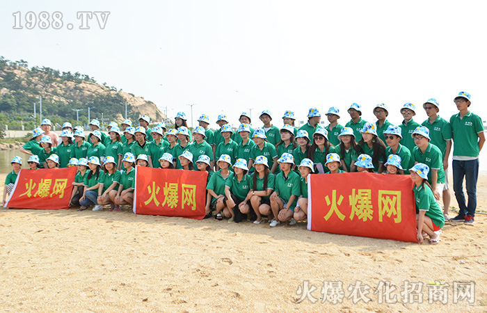     �B�Ƹ����Σ����ܴ󺣵��|�