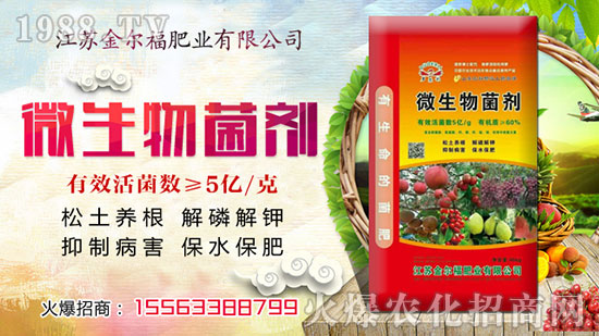 ���𠖸��ʘI(y��)��������ף���Ͽ͑�ؔԴ�V�M���ϼҚg�����f��������