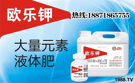 ��ِ���ء���ף���Ͽ͑��u���д��\��ؔԴ�L�L����