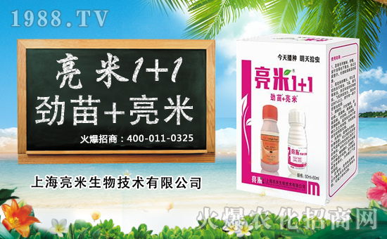 ����������x���yȫ�w�T��ף������옷���u������H�Қg����