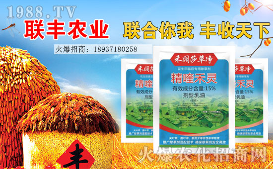 ��(li��n)�S�r(n��ng)�I(y��)��ף���2017�������³�������������H�Қg����