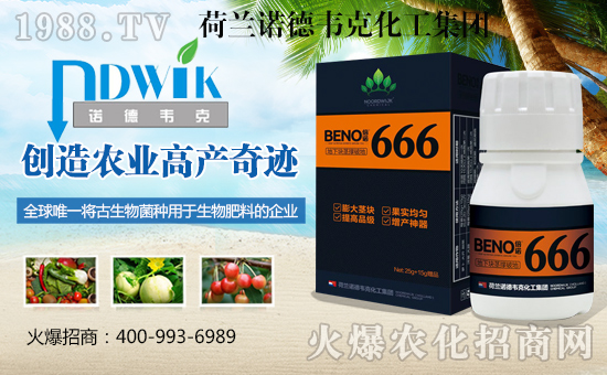 ���m�Z���f�˻������F4