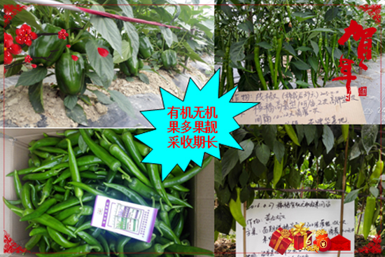 �V���������r(n��ng)�r(n��ng)�I(y��)�Ƽ����޹�˾