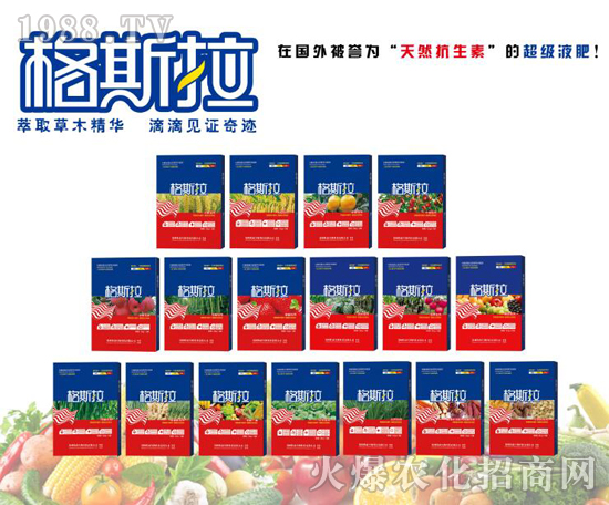 ������ɭ�������޹�˾