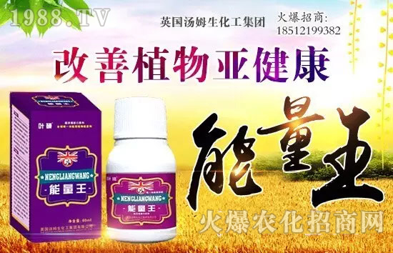 Ӣ��(gu��)��ķ���������F(tu��n)���޹�˾