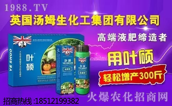 Ӣ��(gu��)��ķ���������F(tu��n)���޹�˾