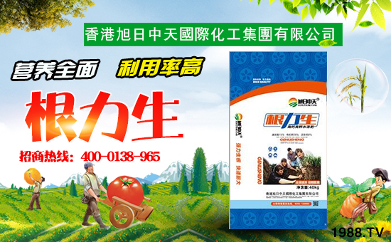 �������������H�������F���޹�˾1