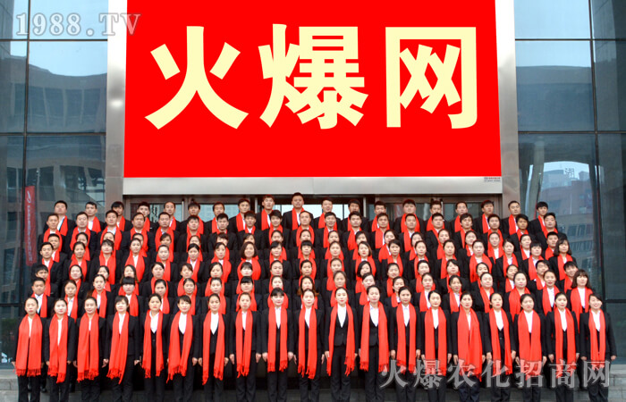 火爆九年,鑄劍前行