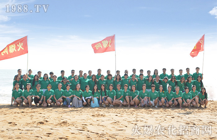 火爆九年,鑄劍前行