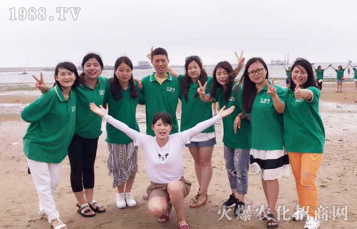 2016����?y��n)������ゃ���ҵ����������S�������