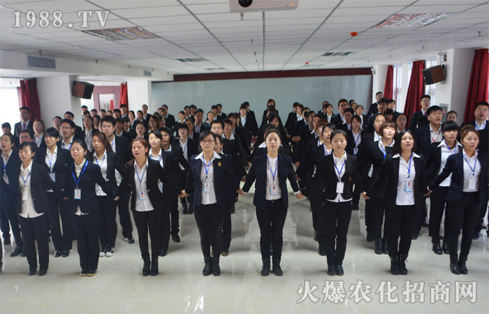 火爆—我的太陽