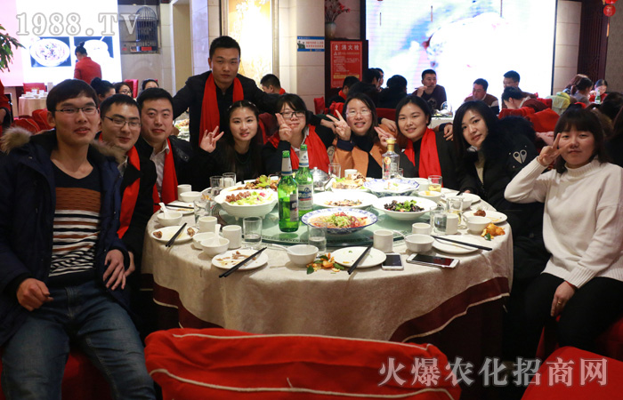 �����҂��ٴΓP(y��ng)����