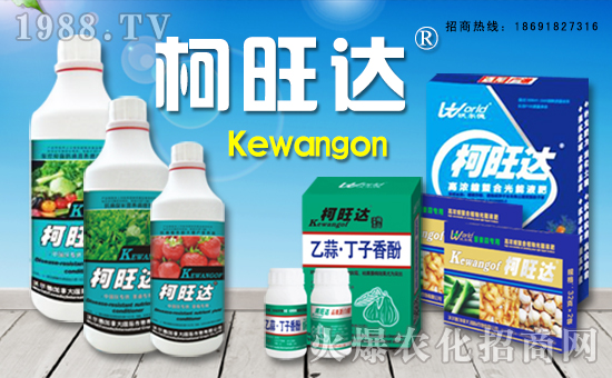 �֠��£����ô󣩇��H�������޹�˾2