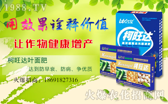 �֠��£����ô󣩇��H�������޹�˾