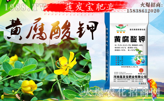 ����ɏ�l(f��)���ʘI(y��)���޹�˾