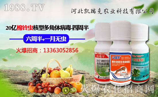 �ӱ��P����r(n��ng)�I(y��)�Ƽ����޹�˾