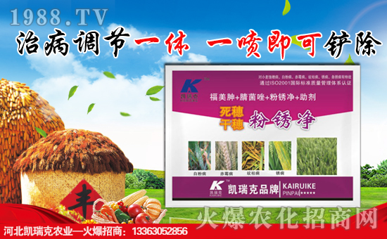 �ӱ��P����r(n��ng)�I(y��)�Ƽ����޹�˾