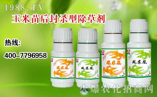 ������r(n��ng)�I(y��)��ף��ң��Ҹ��f���L���옷�o߅�������\��������