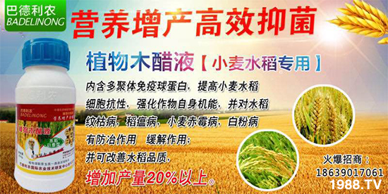 �����Z���r(n��ng)�I(y��)�Ƽ����޹�˾