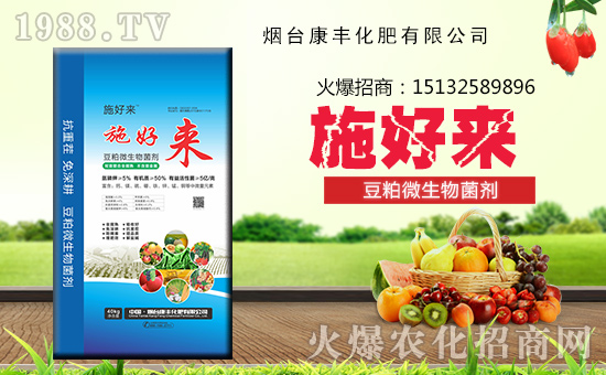 �����_���S���ʡ�ף������w�������H�Қg����