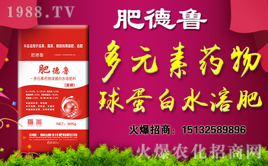 �����_���S���ʡ�ף������w�������H�Қg����