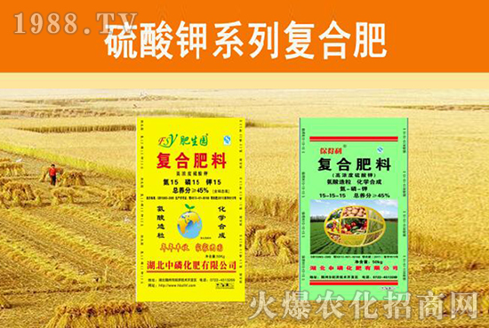 �����׻��ʡ���ף����´��옷�����w�������H���Ҹ����f��������