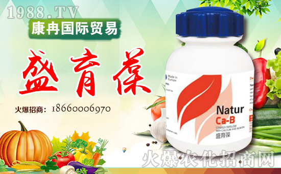 ���_��Ƚ���H�Q�����޹�˾3