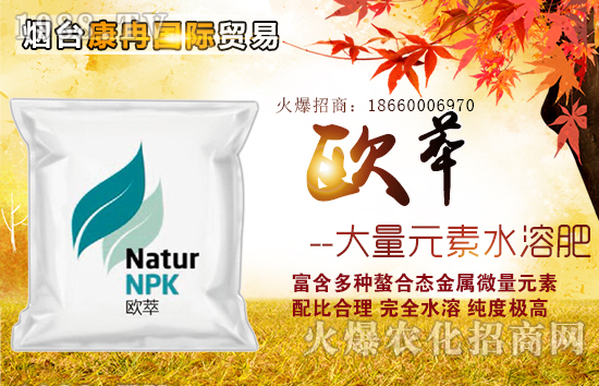 ���_��Ƚ���H�Q�����޹�˾5