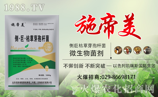 ���P��˹���F(tu��n)��ף��������d¡���H�Қg����