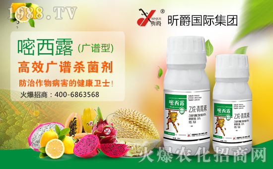 꿾���H���F(tu��n)