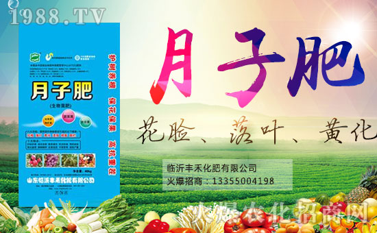 �R���S�̻������޹�˾