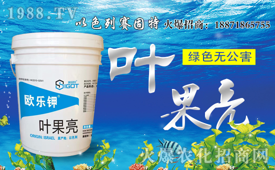 ��ِ���ء���ף���Ͽ͑��u���д��\��ؔԴ�L�L����