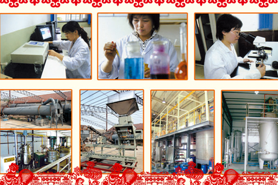 山東沃地豐生物肥料有限公司3