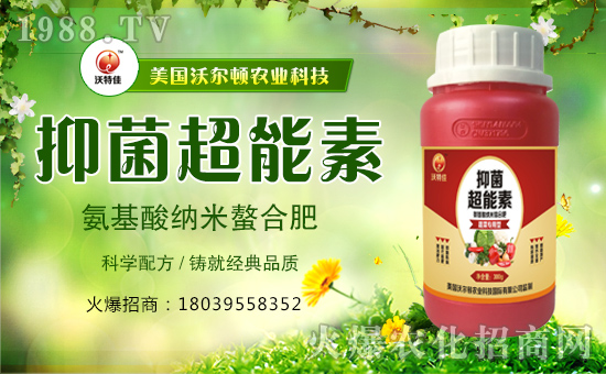 ������(gu��)�֠��D����ף�������옷(l��)���f(w��n)��������