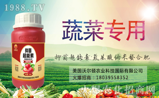 ������(gu��)�֠��D����ף�������옷(l��)���f(w��n)��������