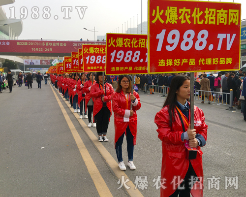 ʮ��𱬣�ʮ��������2017��ɽ�|ֲ���������r(n��ng)���W(w��ng)���ʳ�����