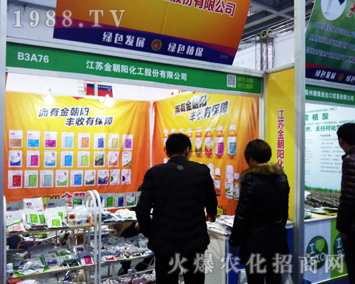 金朝陽(yáng)化工1