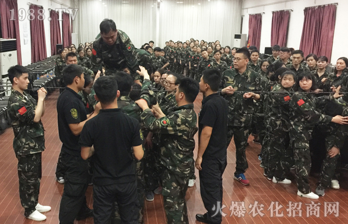 �𱬾W(w��ng)2017�����X��Ӗ(x��n)���I֮�F�����