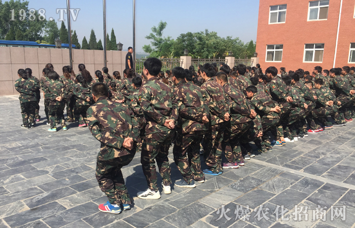 ���w�O�޵�����(zh��n)�������ϴ�Y