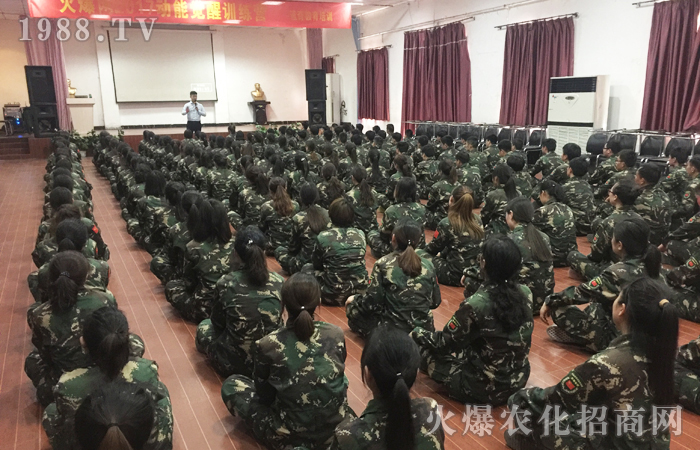 ȫ���Ը��������o��