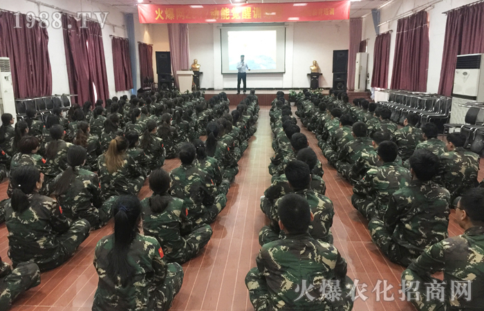 ����(zh��n)�O���������o(w��)��