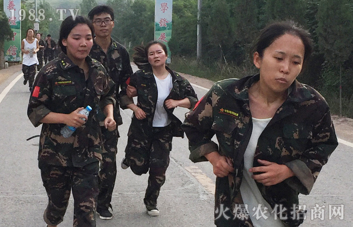 �ԉ����R���Ժ���Ȫ��������������ؓ(f��)���A