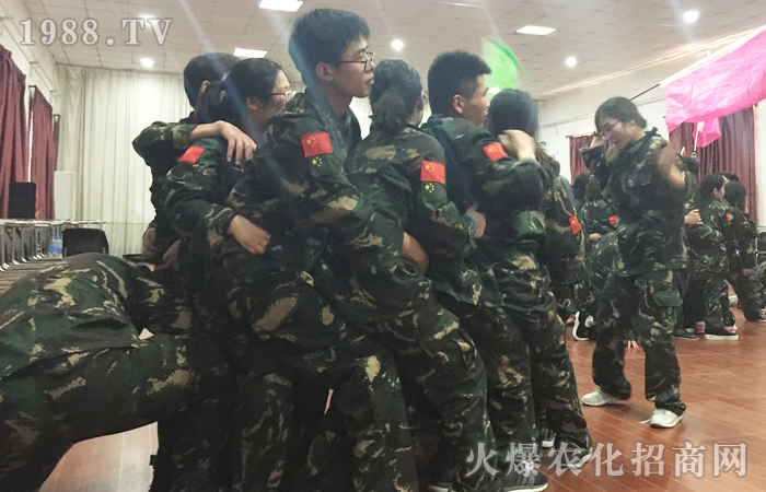 你,全力以赴的人生