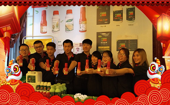 �����ϼ�������ȫ�w�T����ף�������옷������������