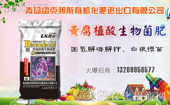 ���׿˰�˹��ף������µ�һ�����Ҹ����M���H�Қg����