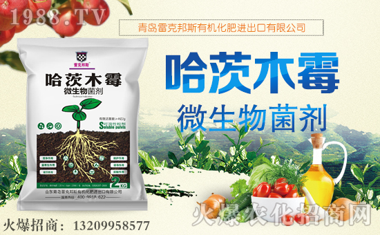 ���׿˰�˹��ף������µ�һ�����Ҹ����M���H�Қg����