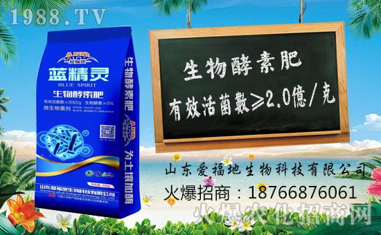 ���۸������ף������µ�һ�������w���������꼪����