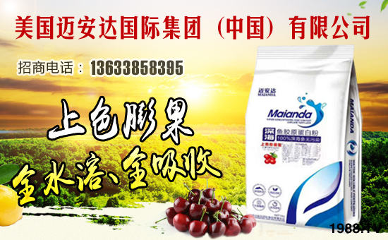 �����~���_(d��)���H���F���Ї������޹�˾