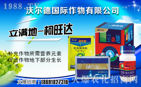 ���֠����H���ף��ҹ������������������