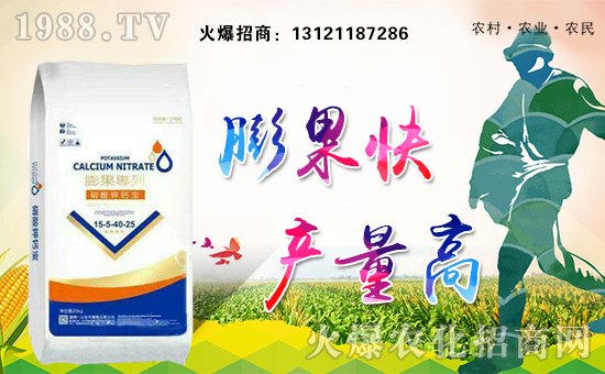     ���A��(chu��ng)������ף������µ�һ�������w�������f(w��n)��������